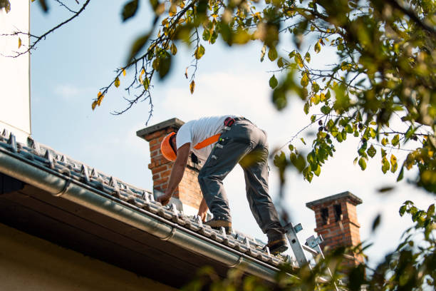 Best Metal Roofing Contractor  in Emeryville, CA