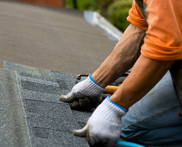 Quick and Trustworthy Emergency Roof Repair Services in Emeryville, CA
