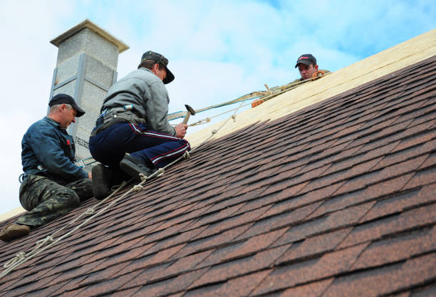 Quick and Trustworthy Emergency Roof Repair Services in Emeryville, CA